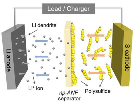 Lithium-Sulfur Batteries: The Future Powerhouse for Electric Vehicles and Portable Electronics?!