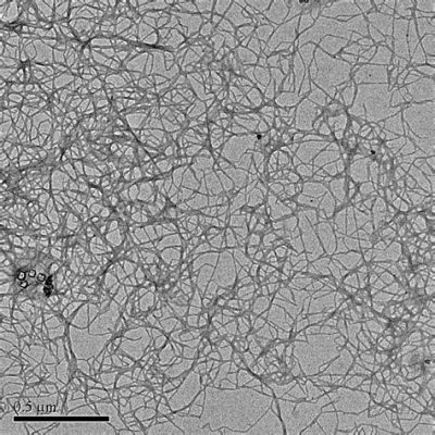  Nano-Cellulose: วัสดุอเนกประสงค์ที่กำลังจะมาแรงในวงการวัสดุและเทคโนโลยีชีวภาพ!