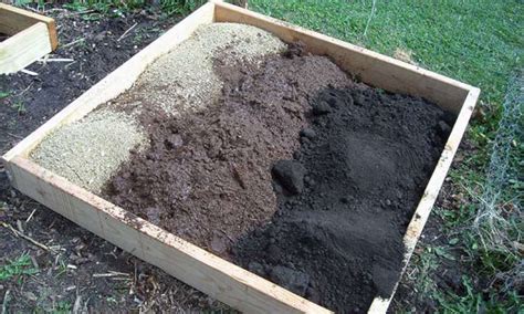  Peat Moss:  The Wonder Material for Soil Enrichment and Sustainable Plant Growth!